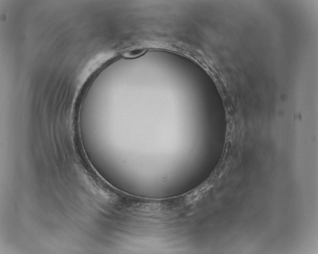 X0000088610104200706081444