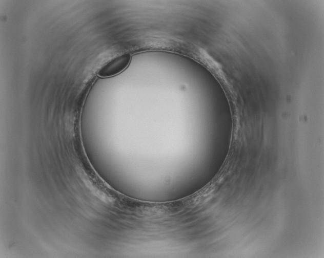 X0000088610106200706081444