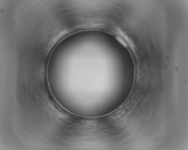 X0000088610107200706081444