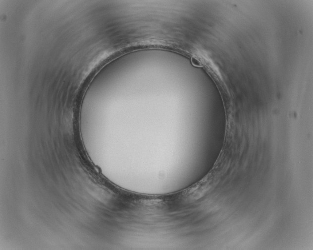 X0000088610108200706081444