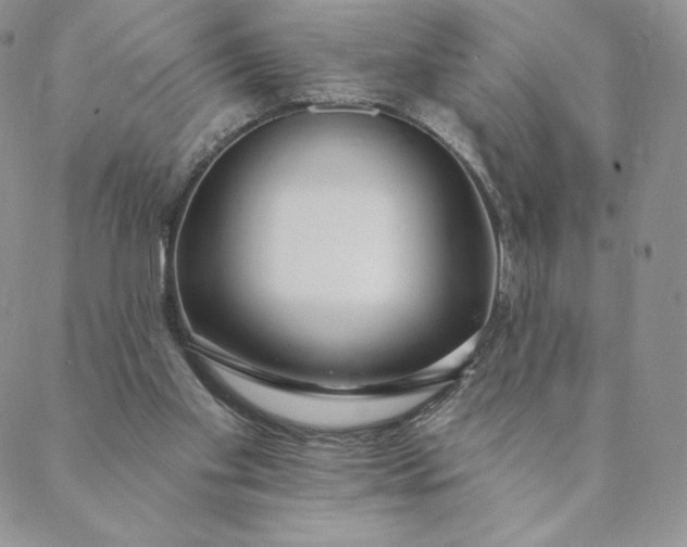 X0000088610109200706081444