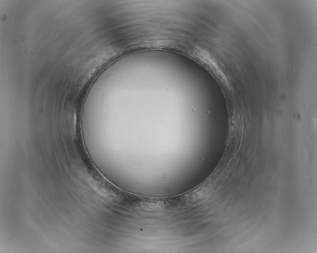 X0000088610110200706081444