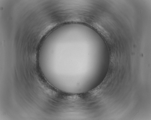 X0000088610112200706081444