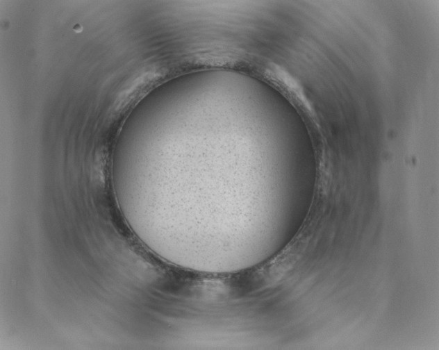 X0000088610114200706081444