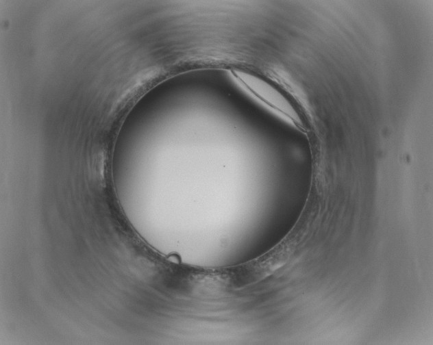 X0000088610115200706081444