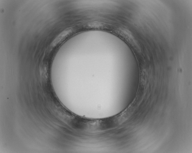 X0000088610116200706081444