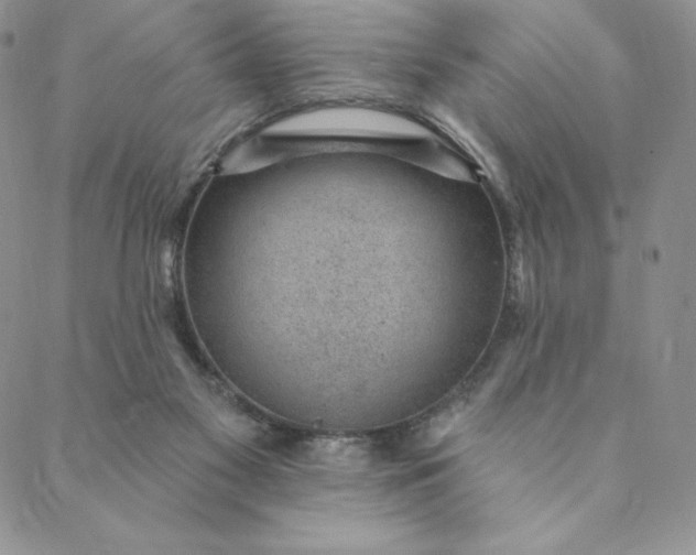 X0000088610117200706081444