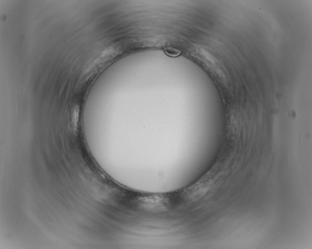 X0000088610118200706081444