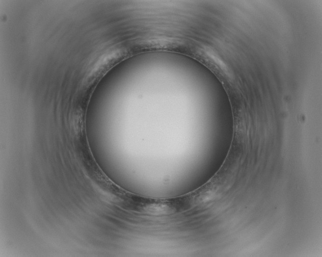 X0000088610119200706081444