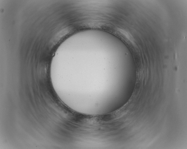 X0000088610120200706081444