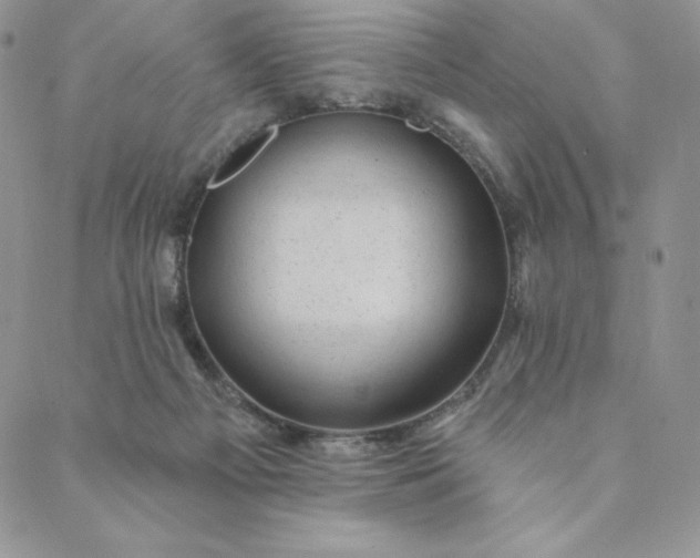 X0000088610121200706081444