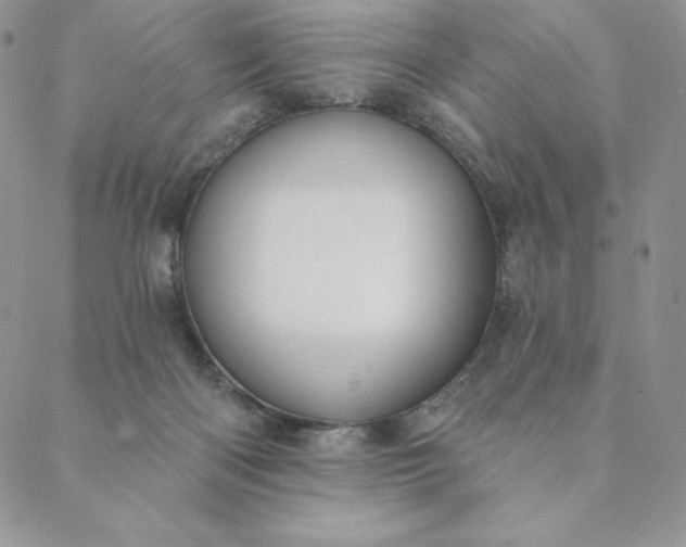 X0000088610122200706081444