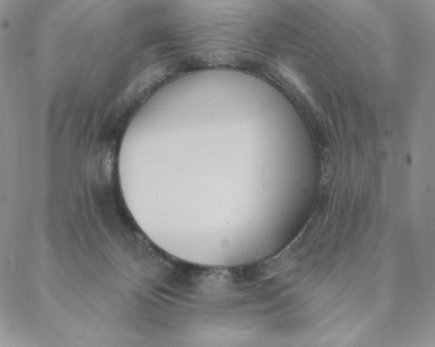 X0000088610124200706081444