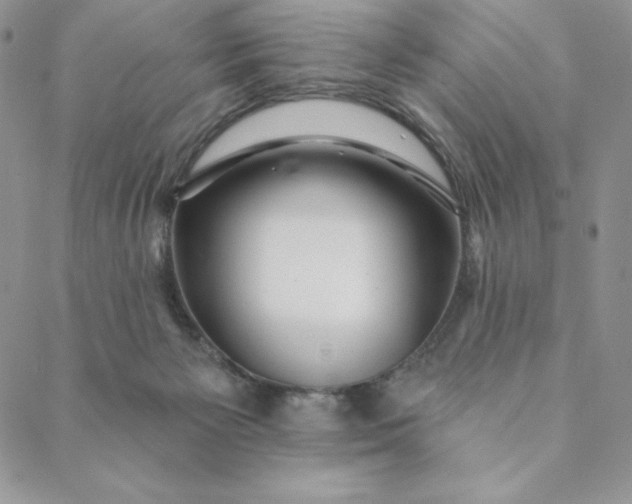 X0000088610125200706081444