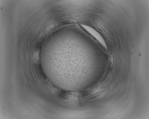 X0000088610127200706081444