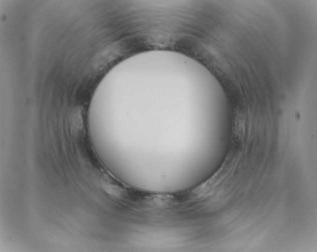 X0000088610128200706081444