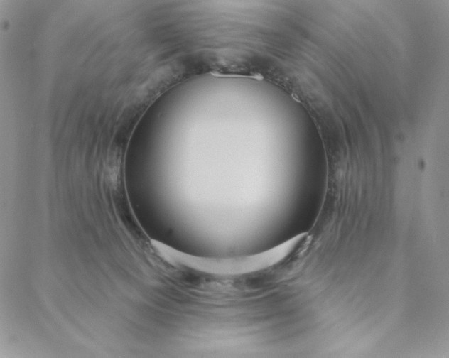 X0000088610129200706081444