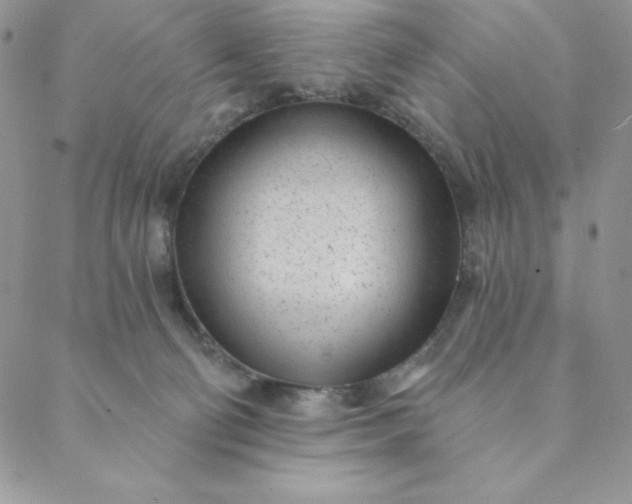 X0000088610130200706081444