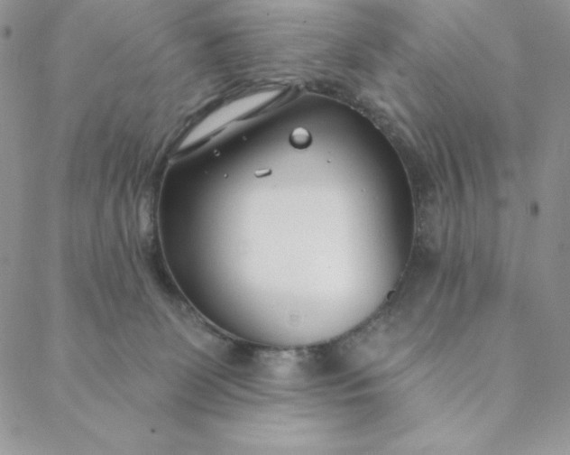 X0000088610131200706081444