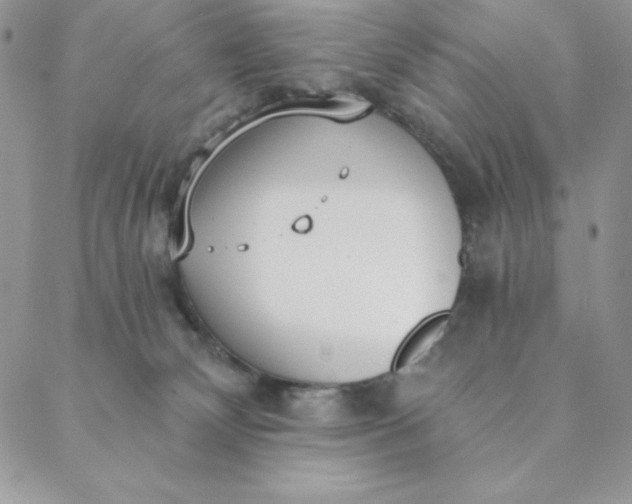 X0000088610132200706081444