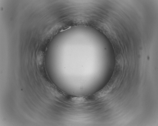 X0000088610133200706081443