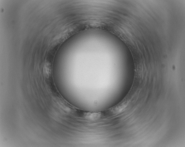 X0000088610135200706081443