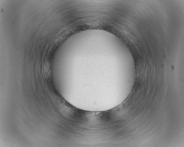 X0000088610136200706081443