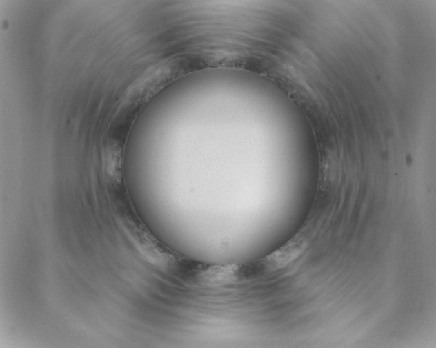 X0000088610138200706081443