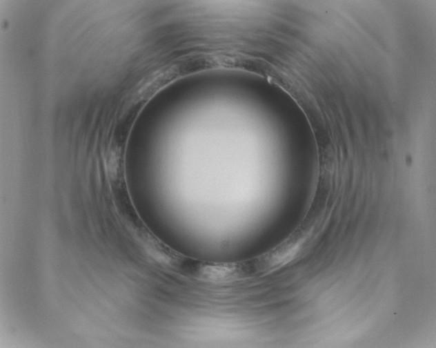 X0000088610139200706081443