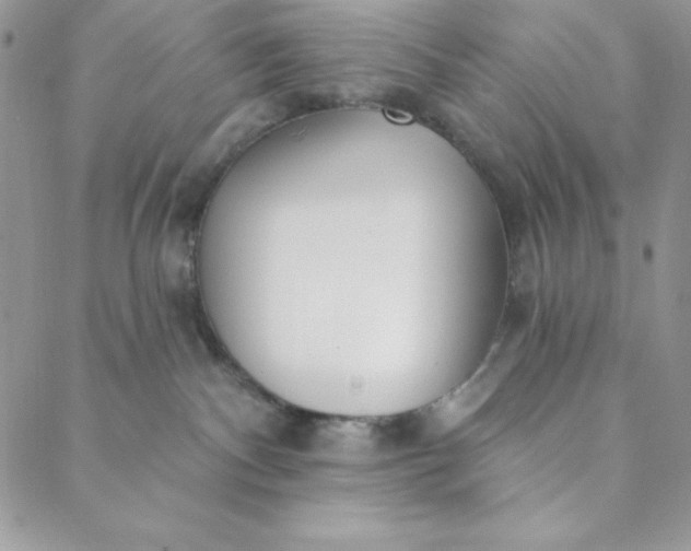 X0000088610140200706081443