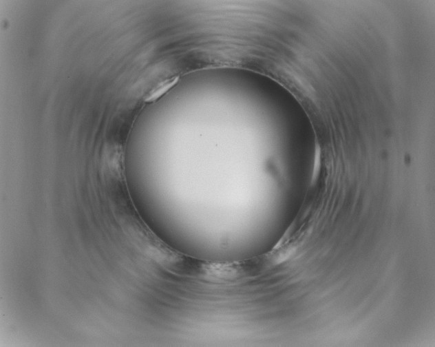 X0000088610141200706081443