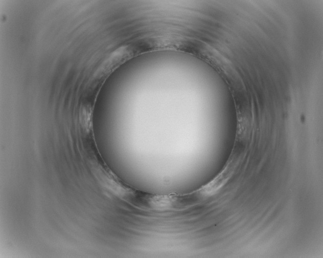 X0000088610142200706081443