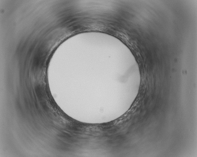 X0000088610146200706081443