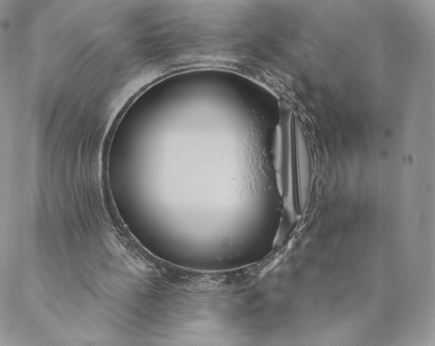 X0000088610148200706081443