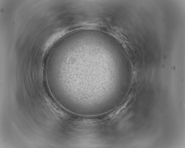 X0000088610149200706081443