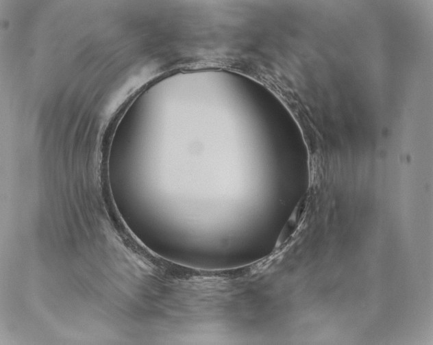 X0000088610150200706081443