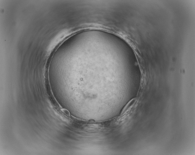 X0000088610151200706081443