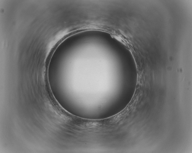 X0000088610152200706081443