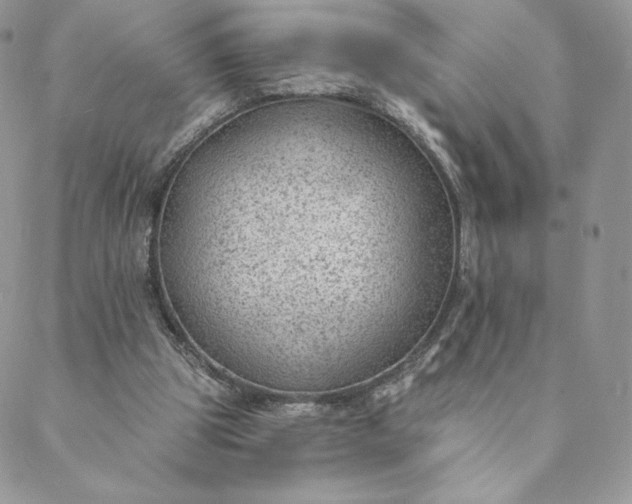 X0000088610153200706081443