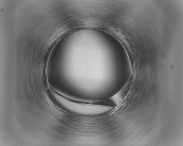 X0000088610154200706081443