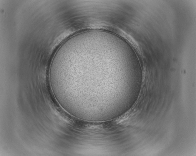 X0000088610155200706081443