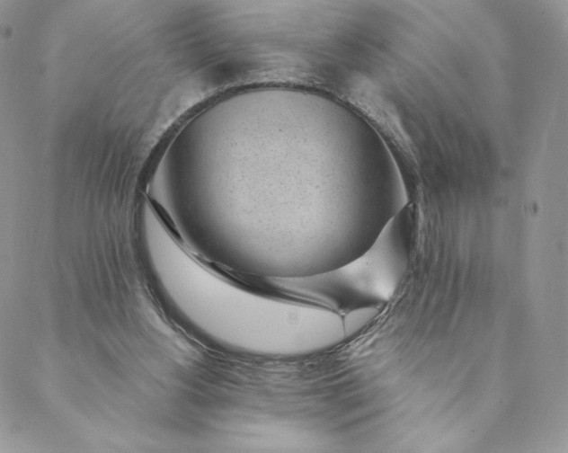 X0000088610156200706081443