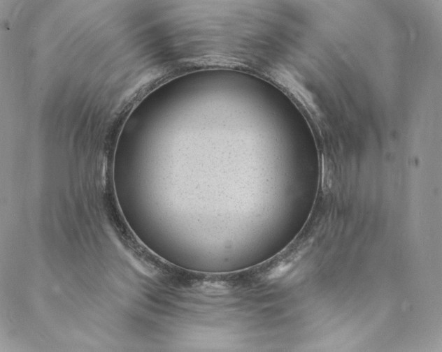 X0000088610157200706081443