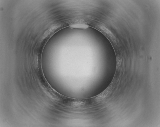 X0000088610158200706081443