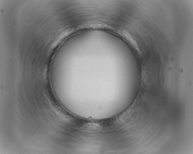 X0000088610159200706081443