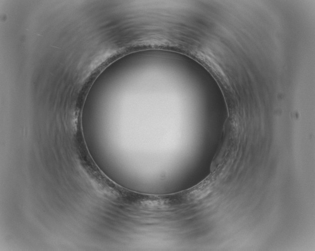 X0000088610160200706081443