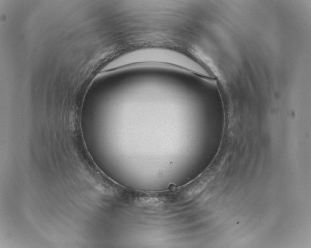 X0000088610161200706081443