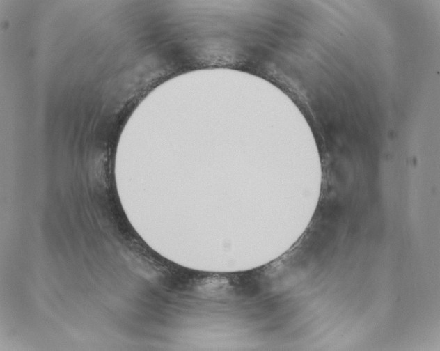 X0000088610162200706081443