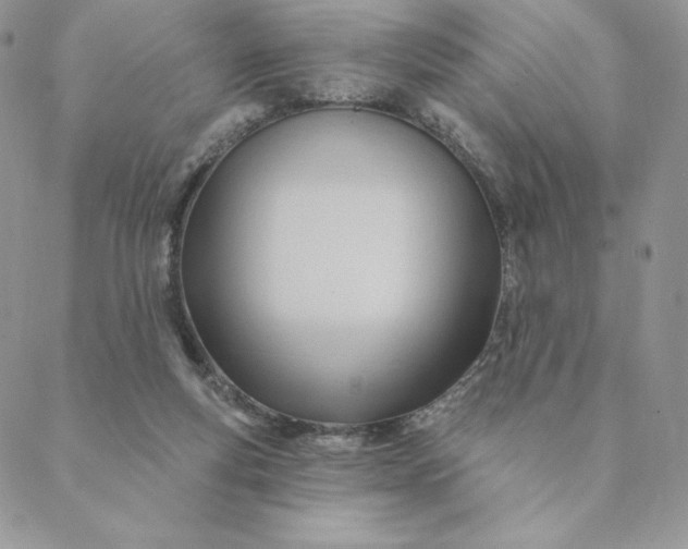 X0000088610163200706081443