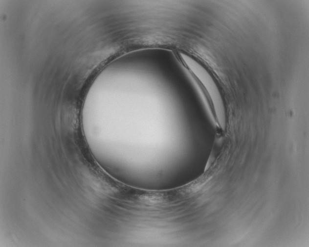 X0000088610164200706081443